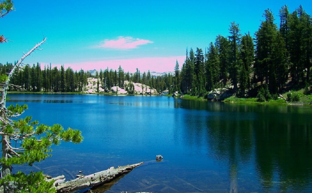 deer lake in US