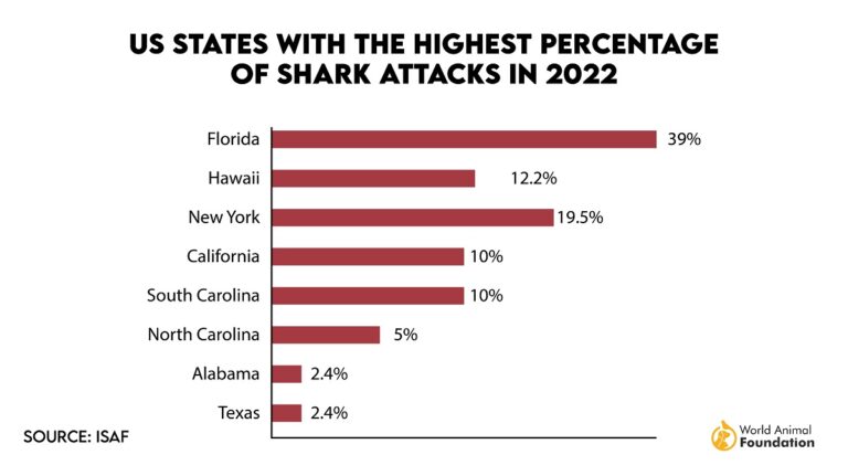 Shark Attack Statistics - Frequency & Fatality Worldwide