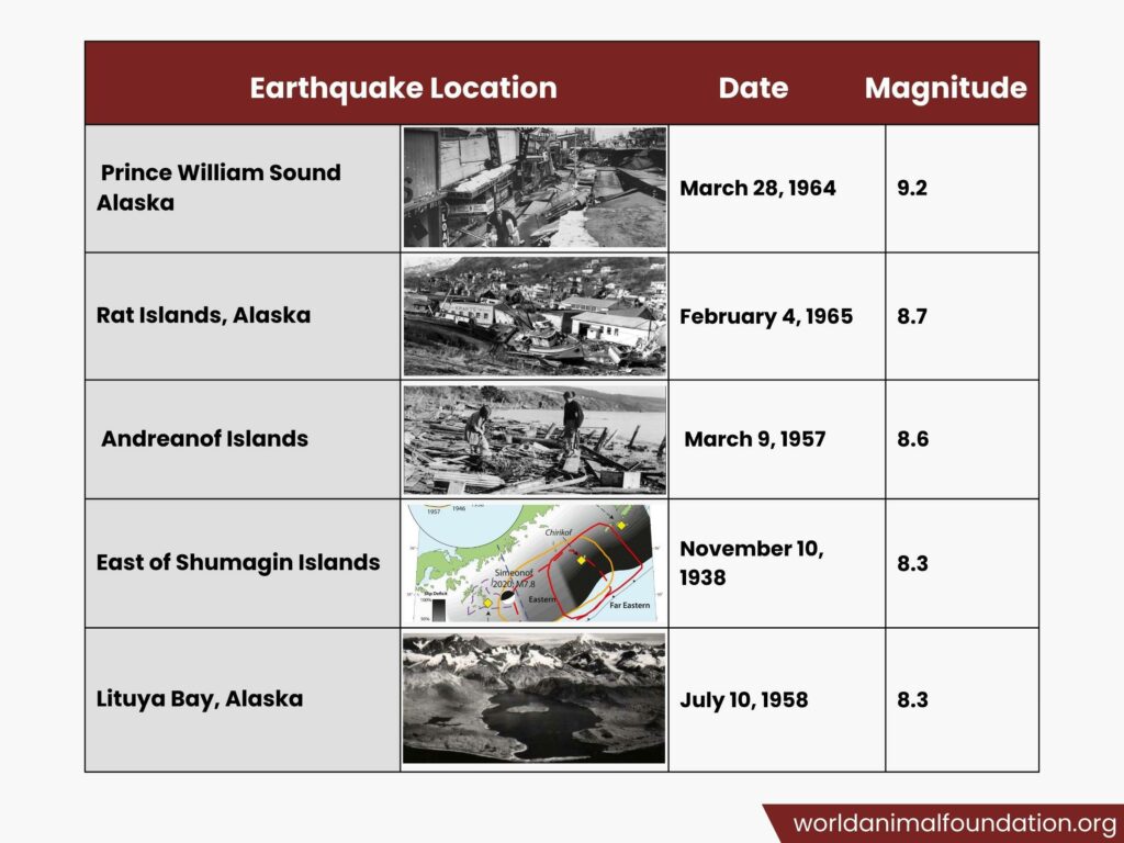 fact about earthquakes