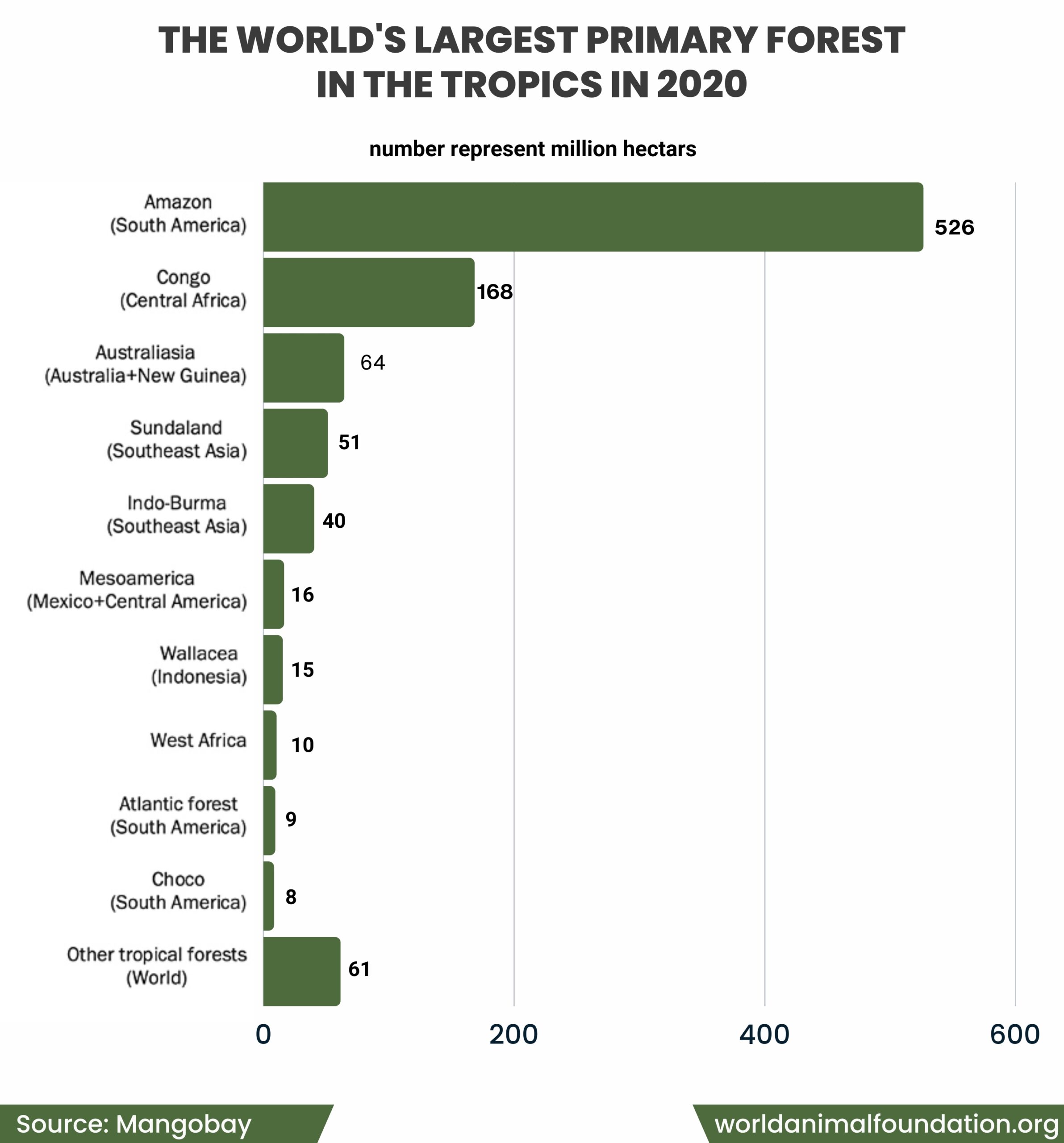 rain forest facts
