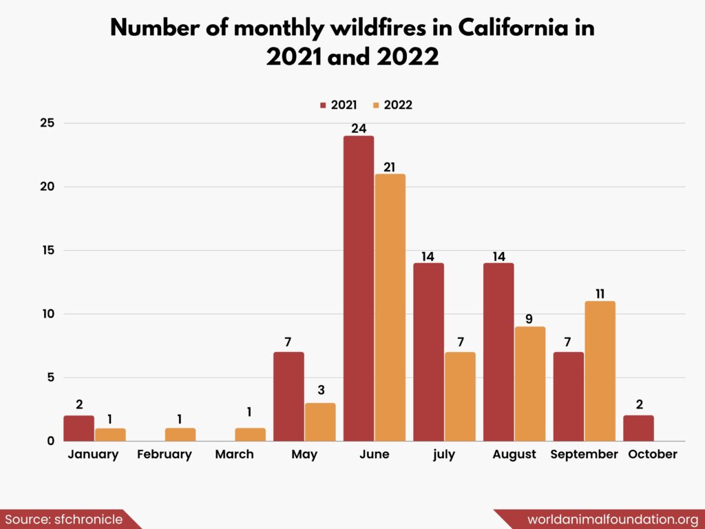 By the numbers: California's mild 2022 wildfire season - CalMatters