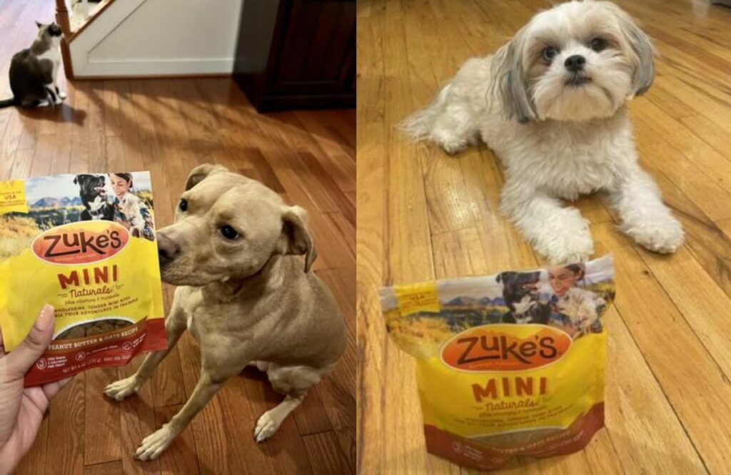 good puppy treats for training