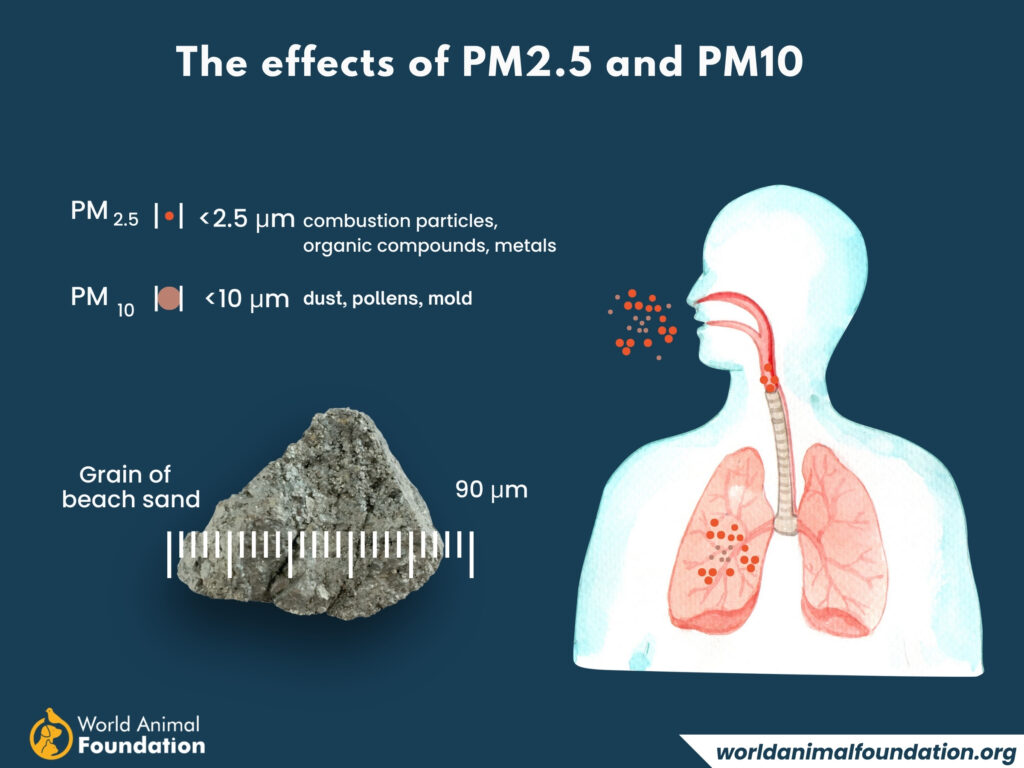 pm2.5 health effects