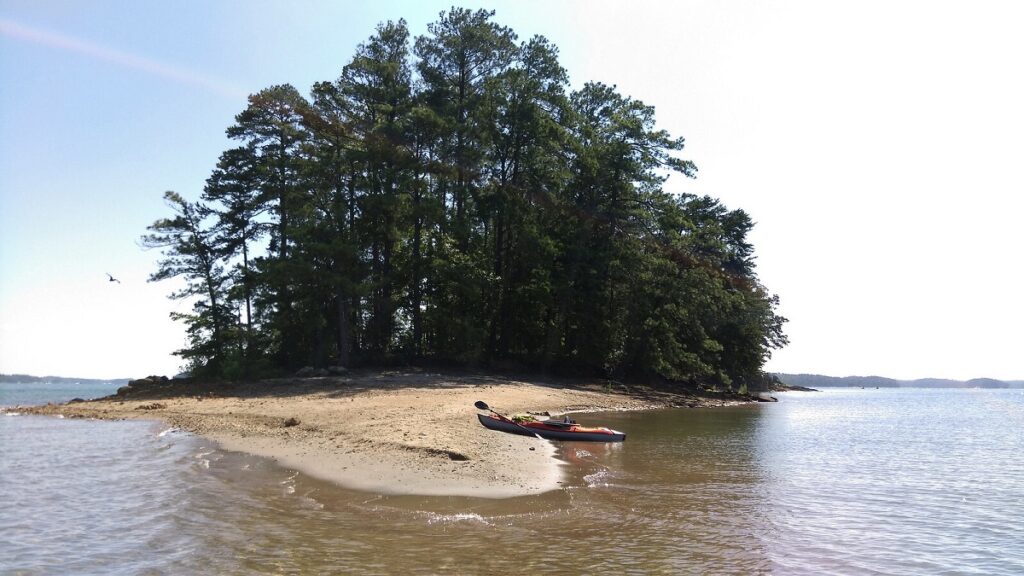 polluted lake lanier