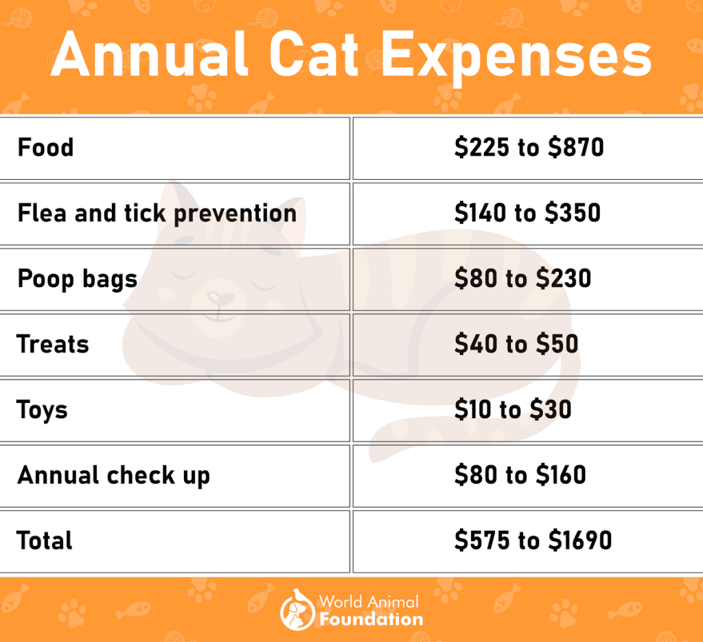 Average cost of a cat store per year