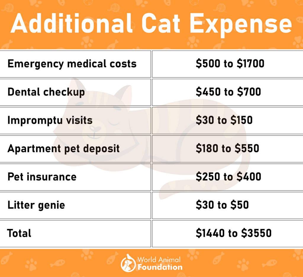 Cost of caring hot sale for a cat