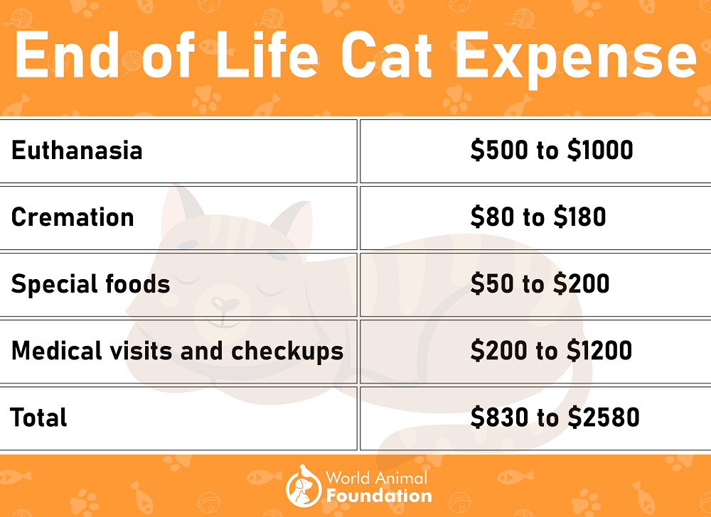 End of Life Cat Expense