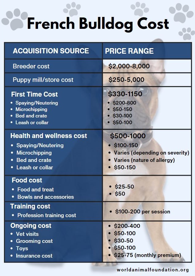 Frenchies cheap price list