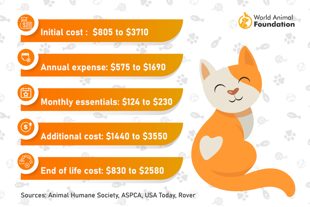 Average cost of cat food per month hotsell