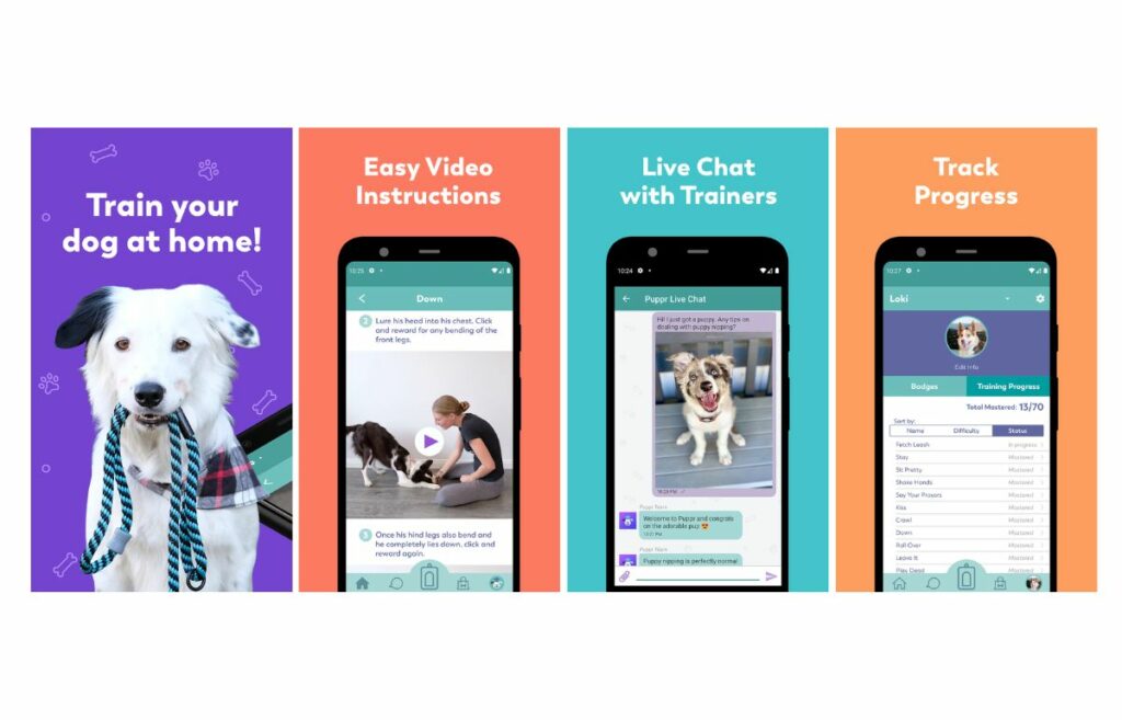 Best Dog Training App Of 2024 Train Your Pup To Perfection