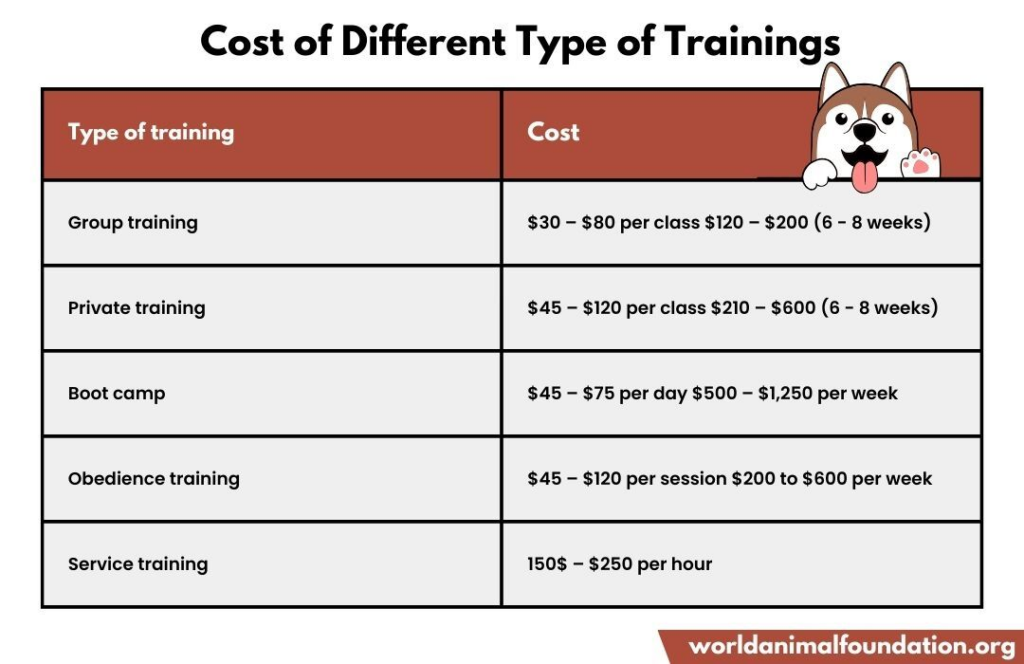 Dog boarding 2025 school cost