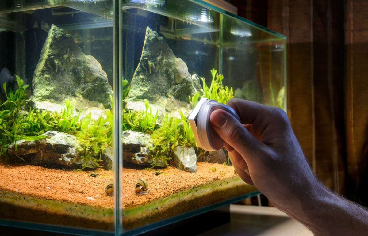 How To Fix A Leaking Aquarium: Comprehensive Repair Guide - WAF