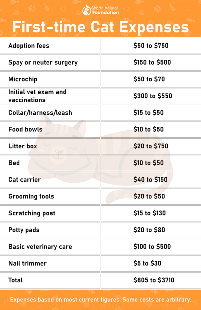 Cost to feed a cat per month hotsell