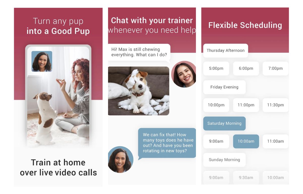 Best Dog Training App Of 2024 Train Your Pup To Perfection