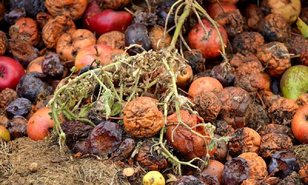 how much food is wasted globally
