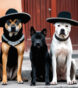 mexican dog breeds