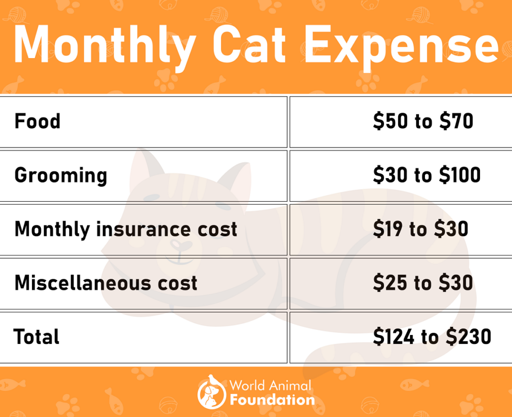 Cost of cat food outlet and litter per month