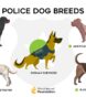 police dogs