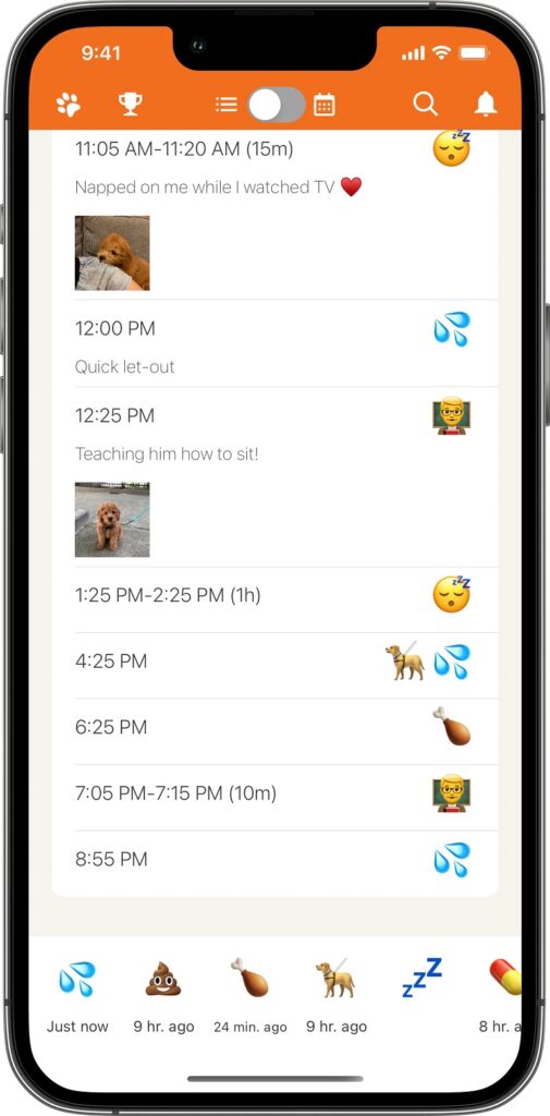 pup to date dog training app