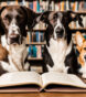 smartest dogs