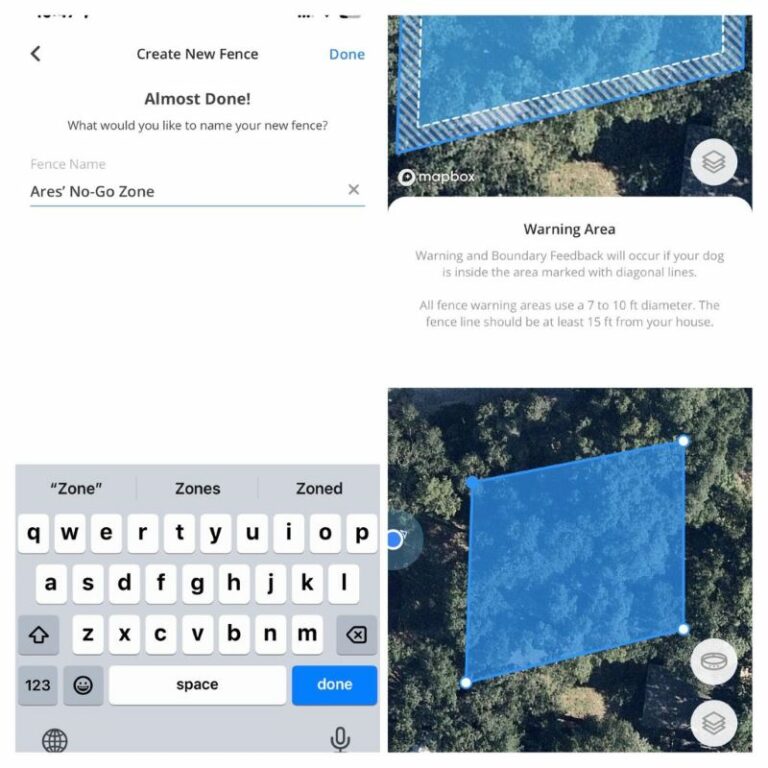 7 Best Wireless Dog Fences In 2024