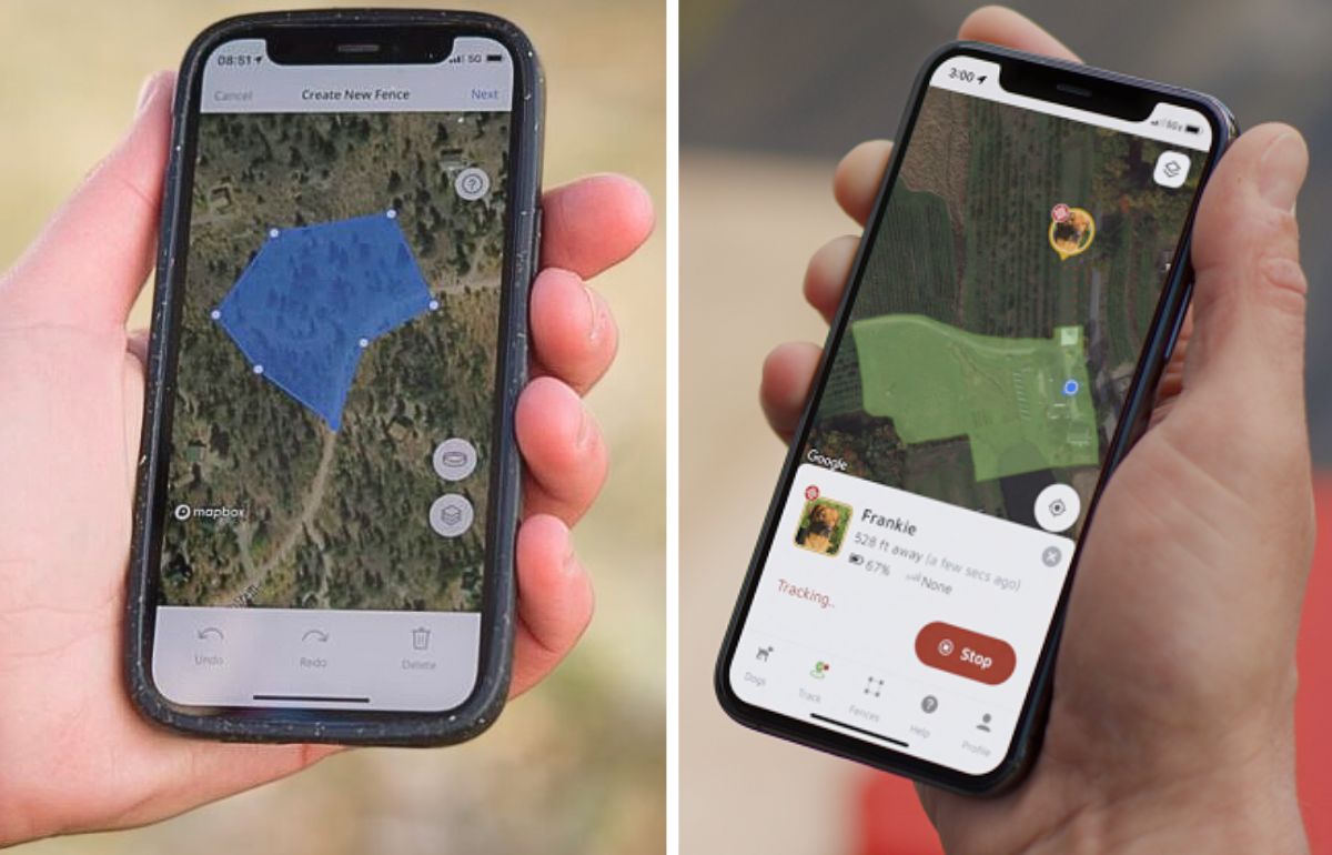 Halo Collar 3 Vs SpotOn GPS Fence Which Dog Collar Wins?