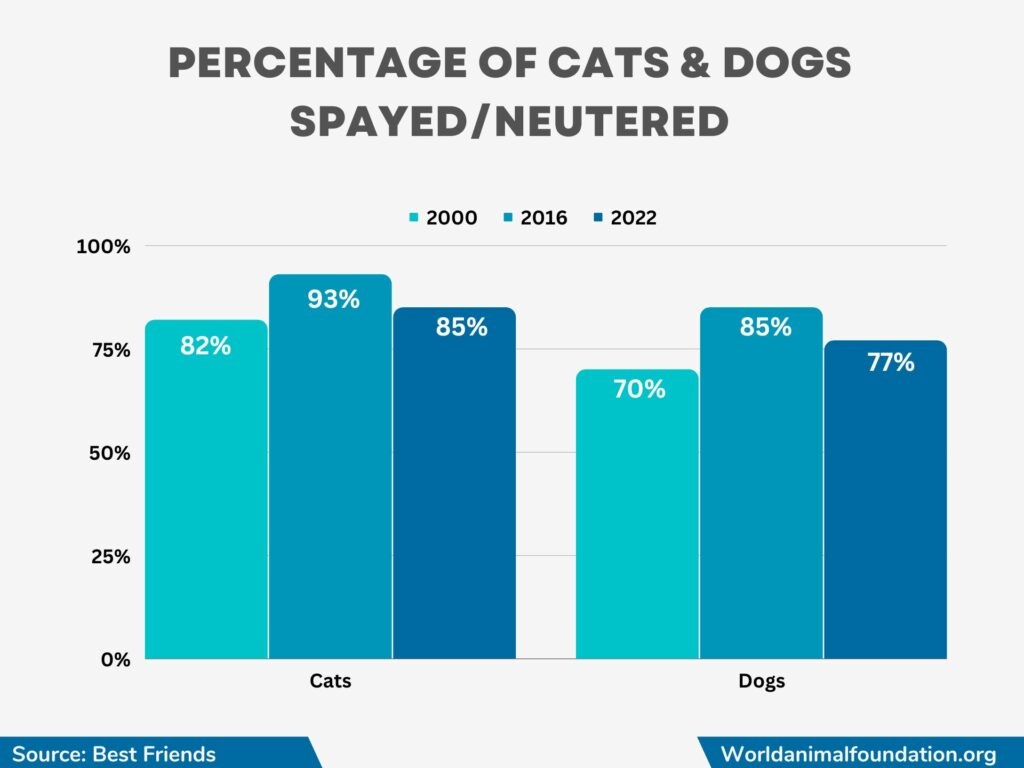 how many cats and dog are spayed