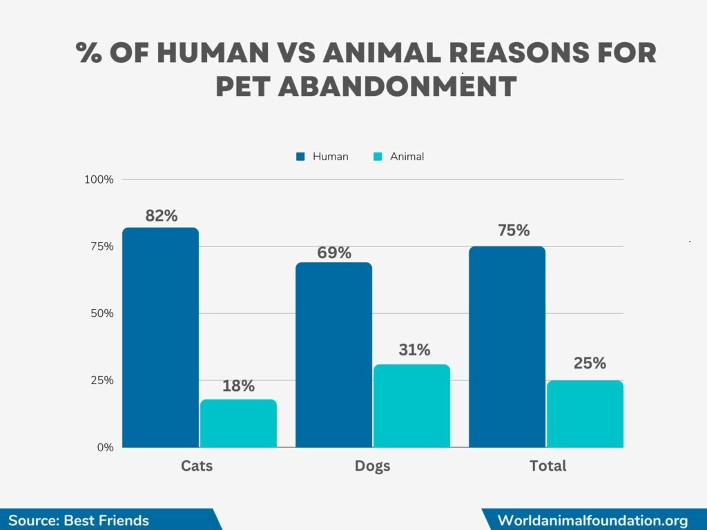 Primary Reason for Pet Abandonment 