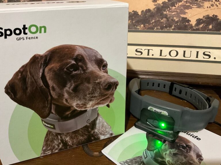 SpotOn GPS Dog Fence Review Is It Worth 999 In 2024?