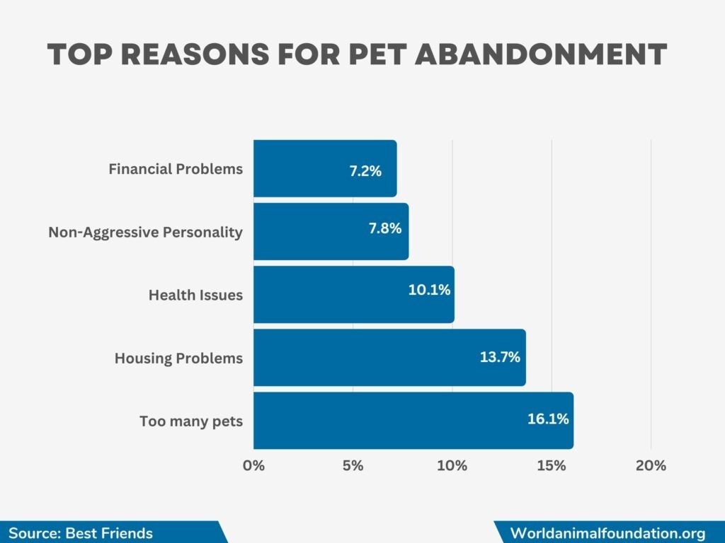 top reason for pet abandonment