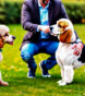 friendliest dog breeds