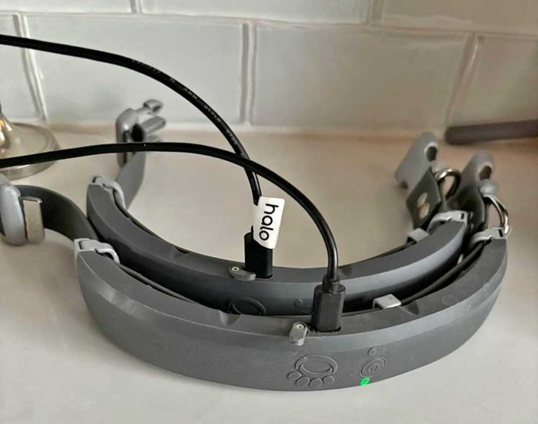 Halo Collar 3 Review (I Tested It For Months)