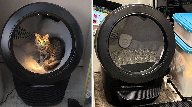 litter robot reviews