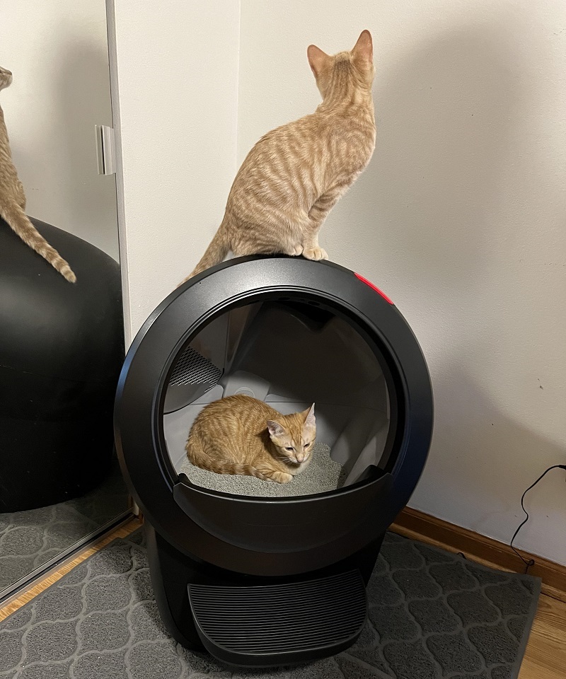 litter robot