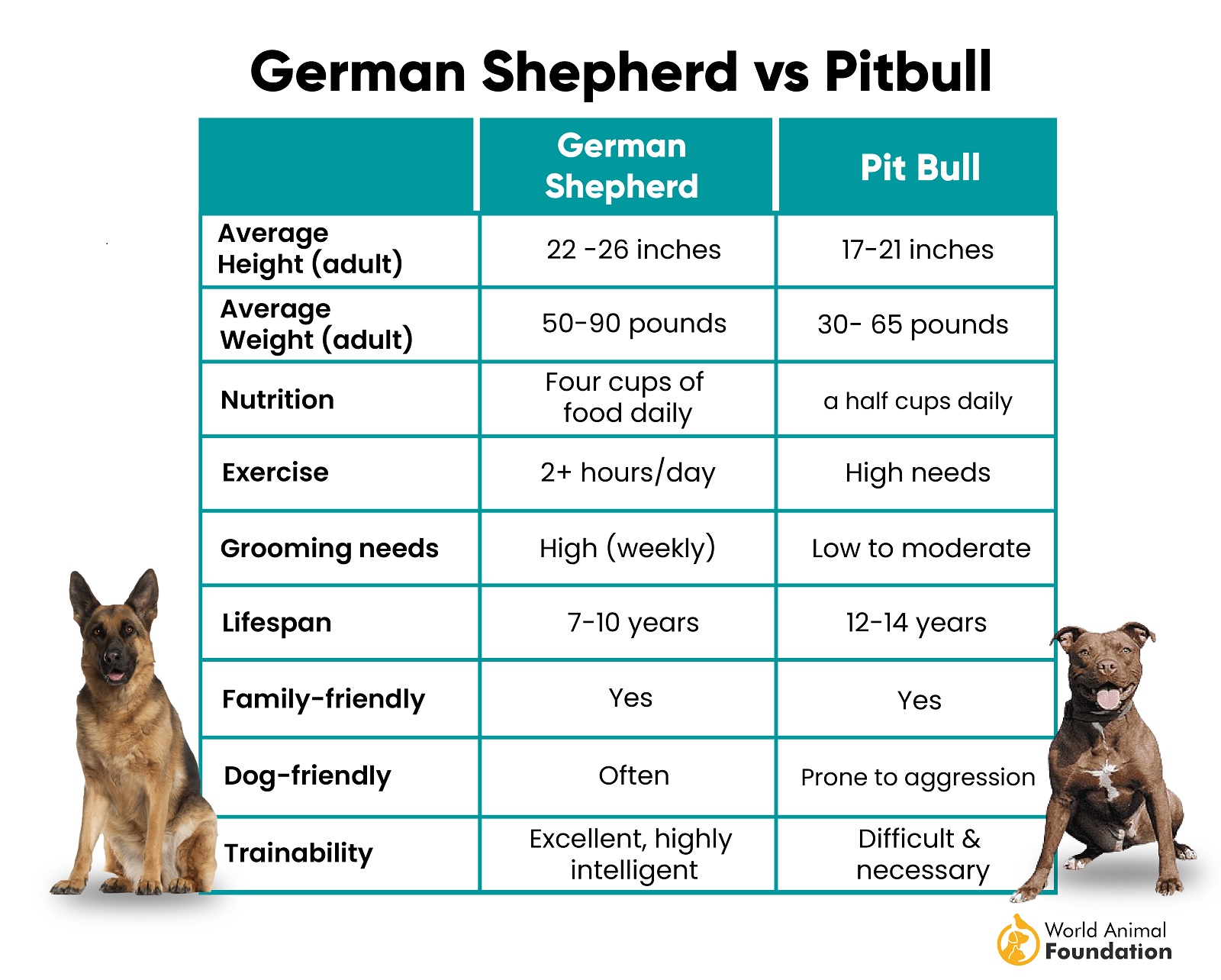 German Shepherd Vs Pitbull Understanding Key Differences