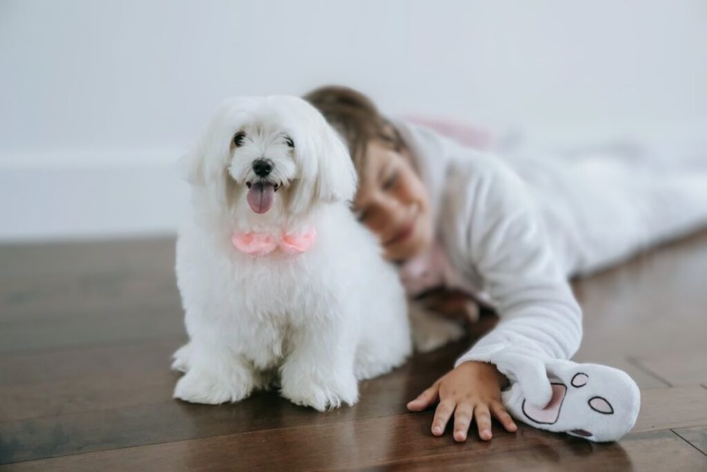 dog inside