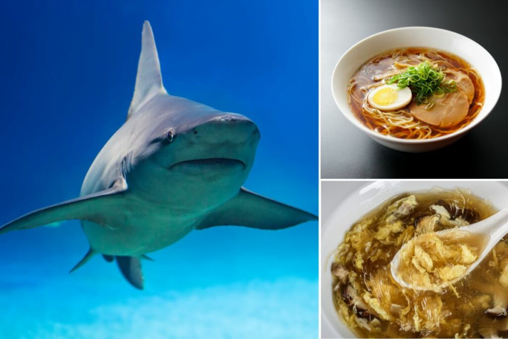 how many sharks are killed for shark fin soup