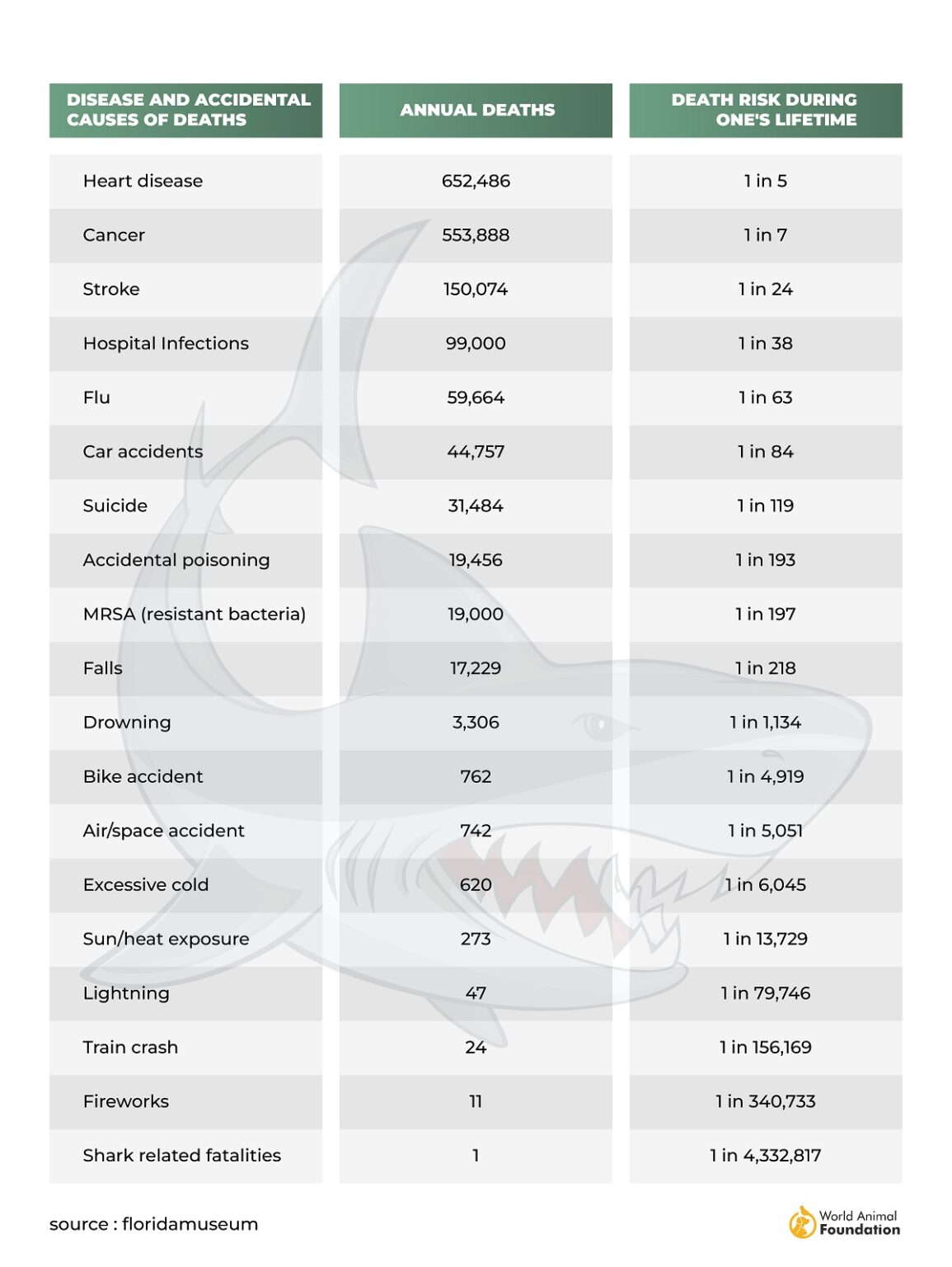 How Many Sharks Are Killed A Year Worldwide?