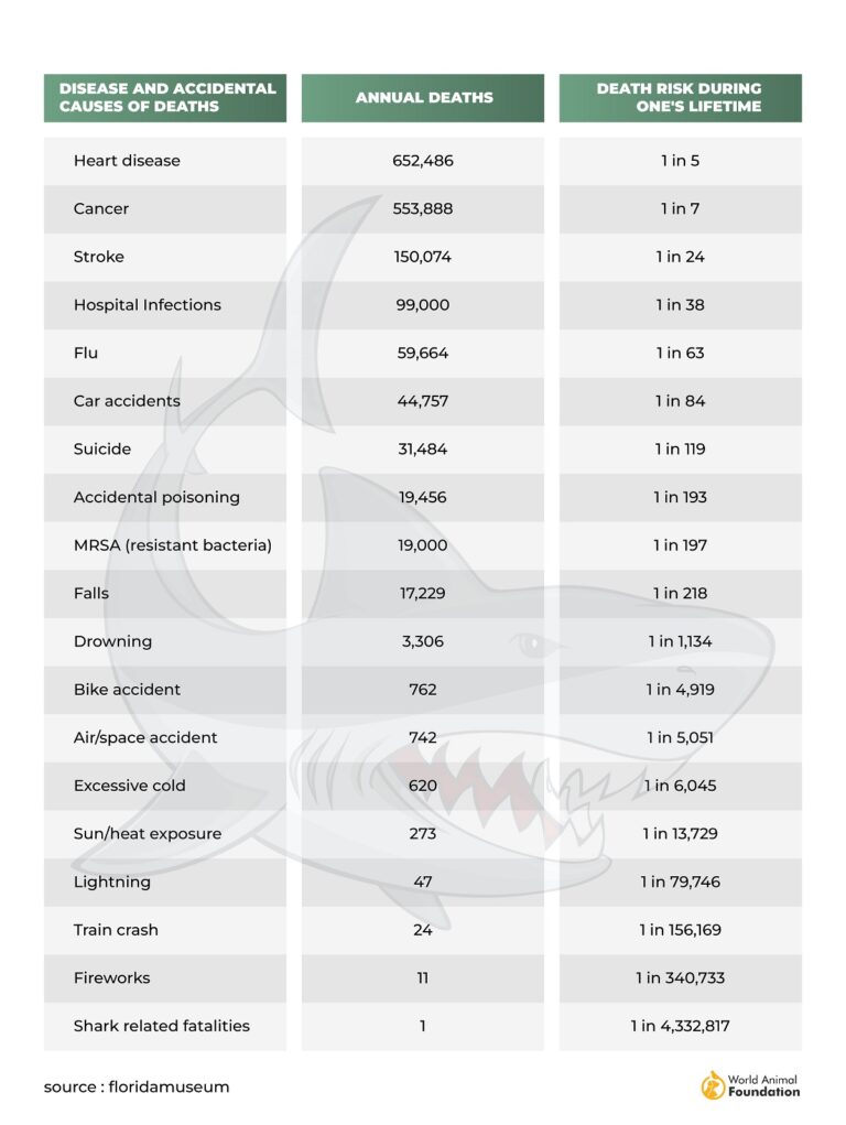 How Many Sharks Are Killed A Year Worldwide?