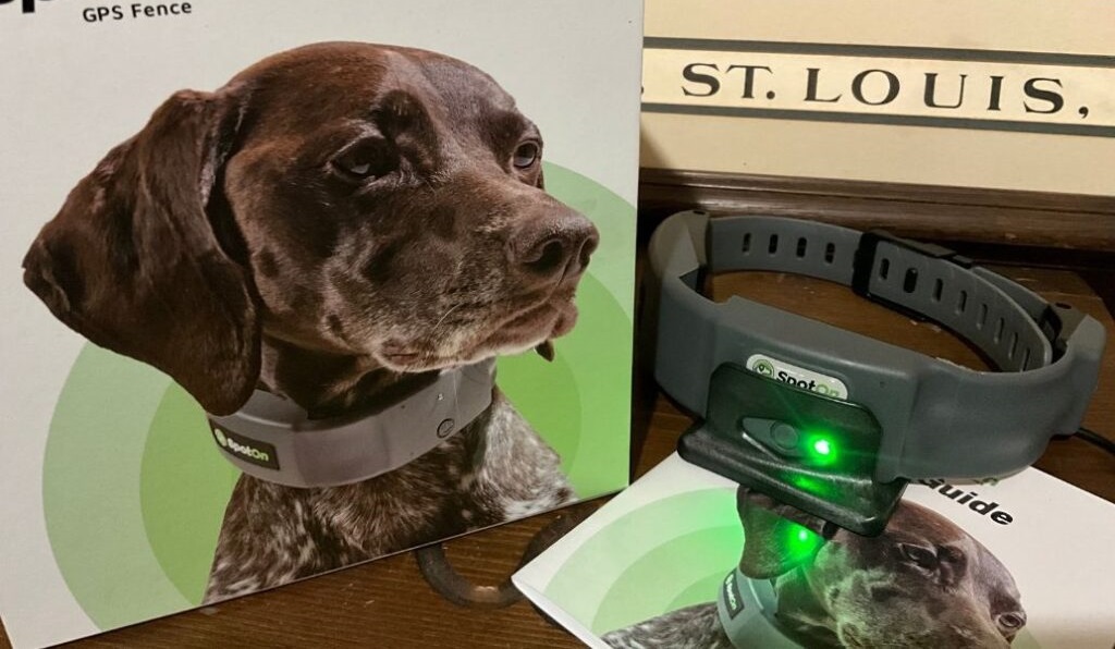 Best GPS Collar For Guard Dogs On Duty