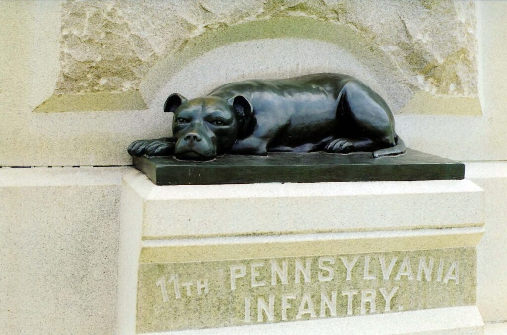 dogs in war