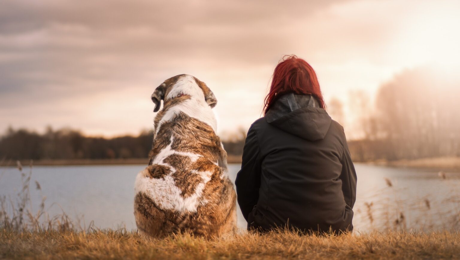 13 Best Dog Breeds For Single Women Living Alone