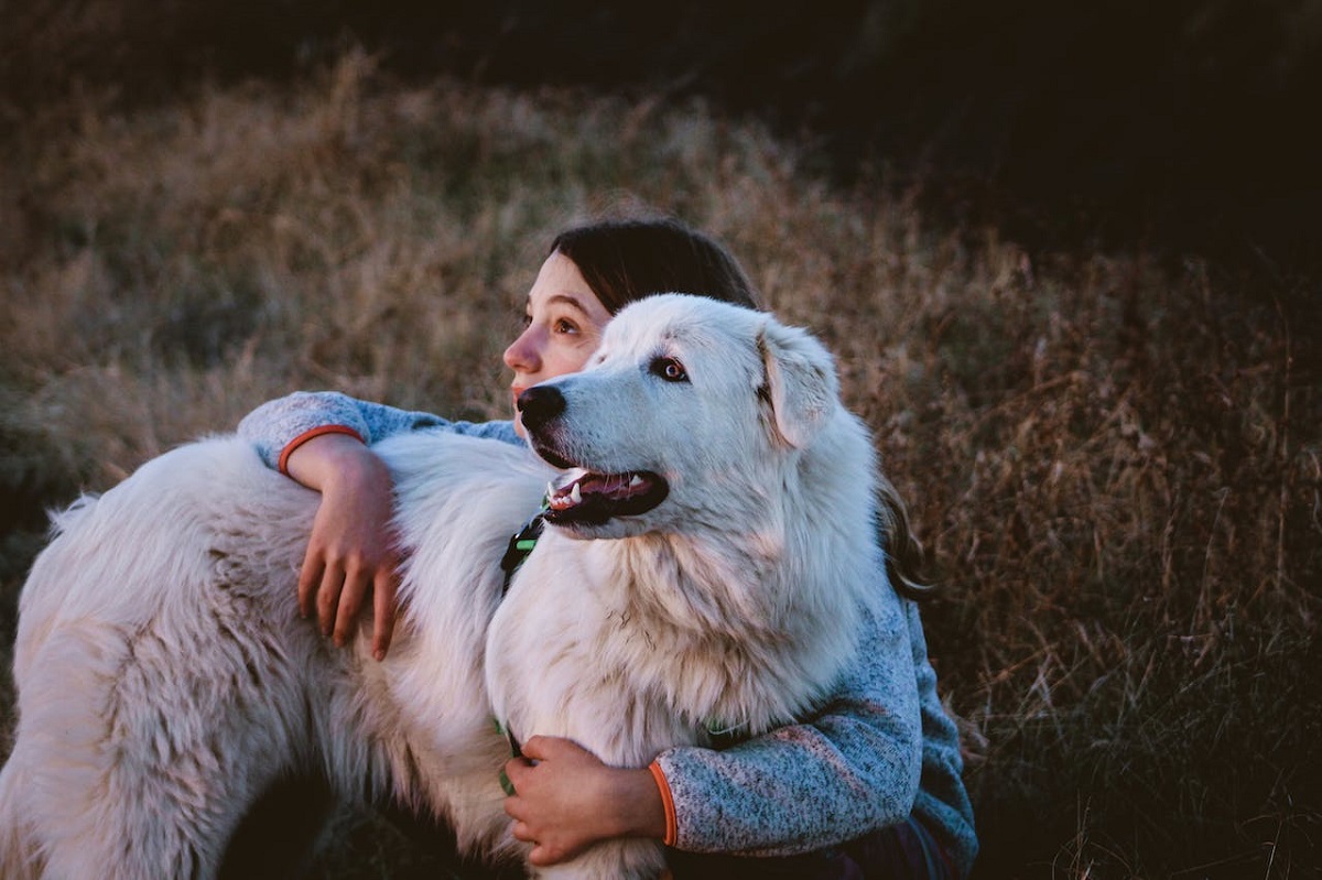 13 Best Dog Breeds For Single Women Living Alone