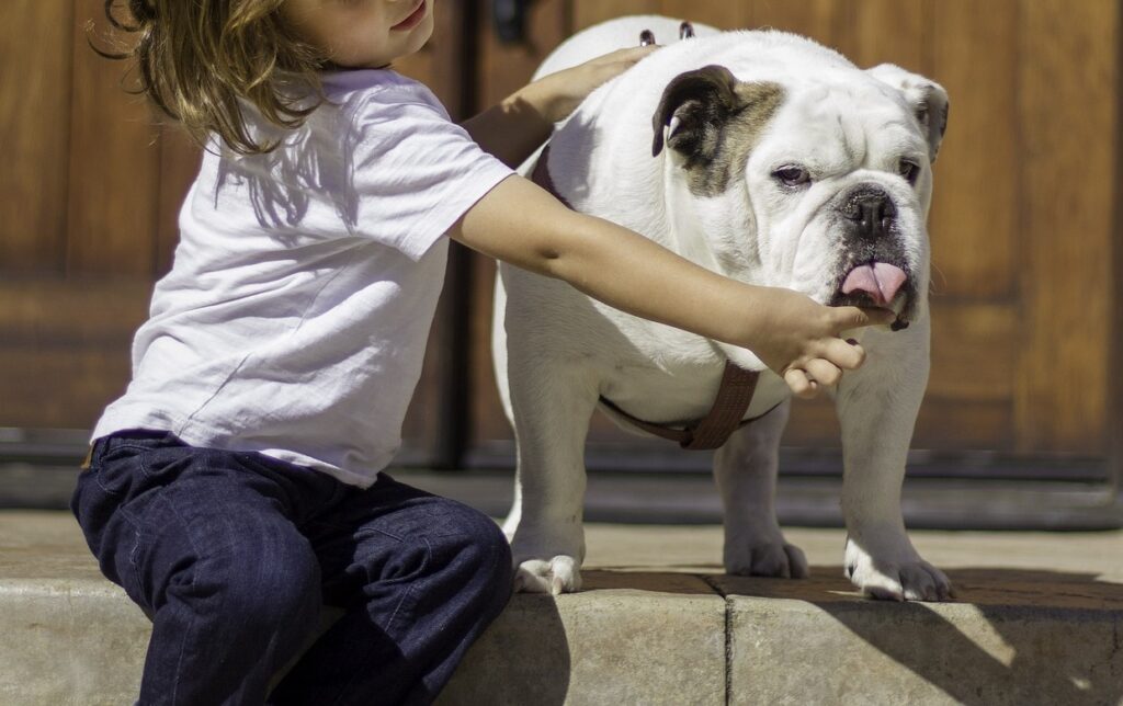 are bulldogs good family dogs
