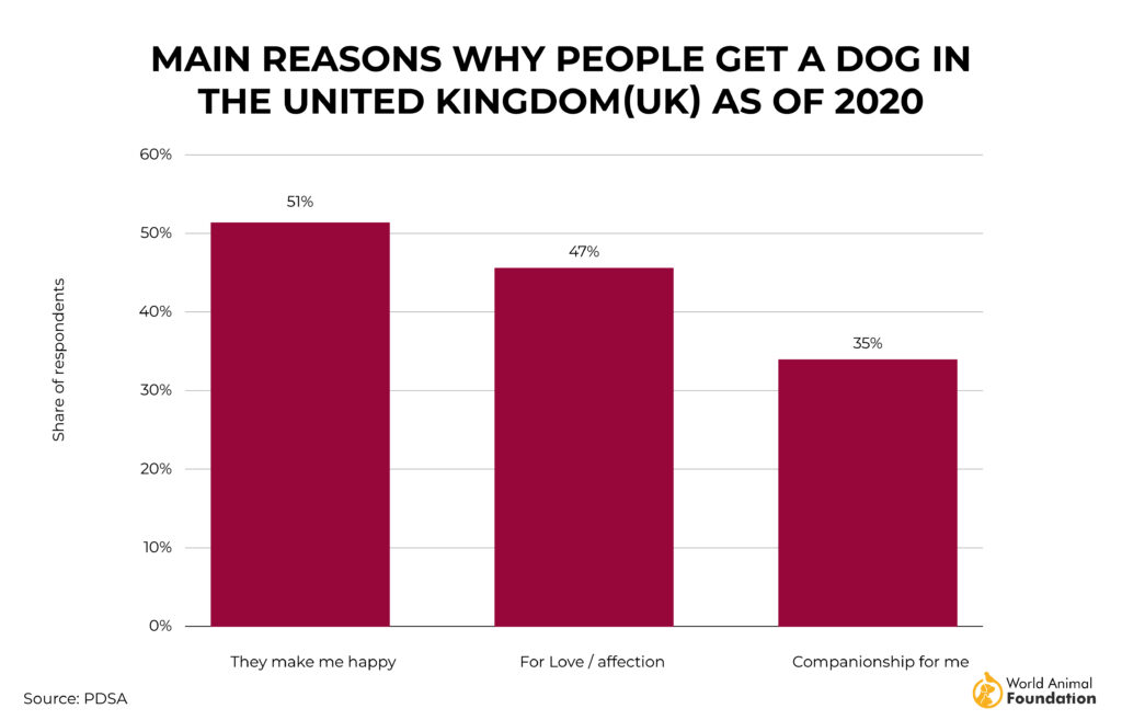 why people get dogs in the united kingdom