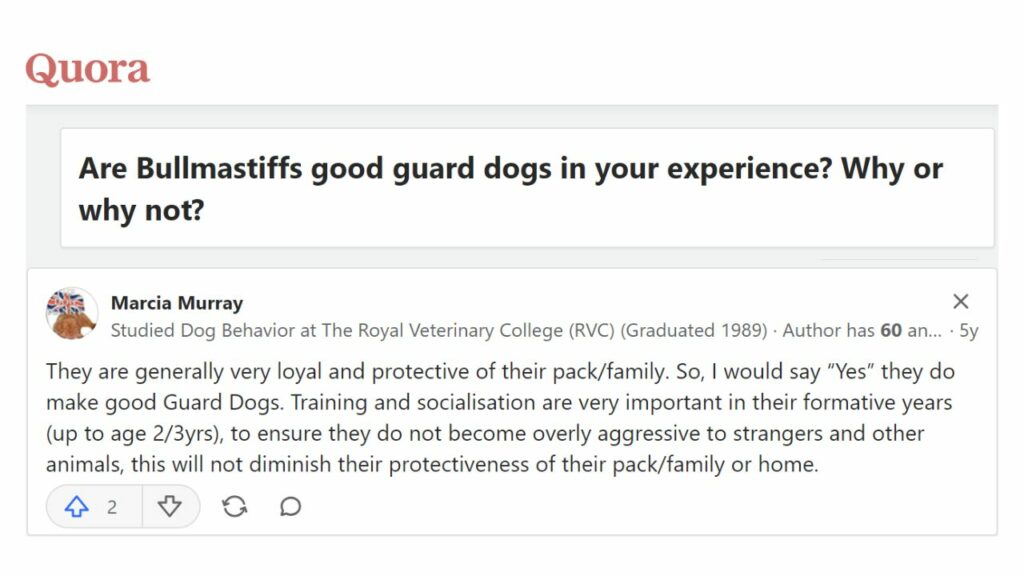 Are Bullmastiffs good guard dogs