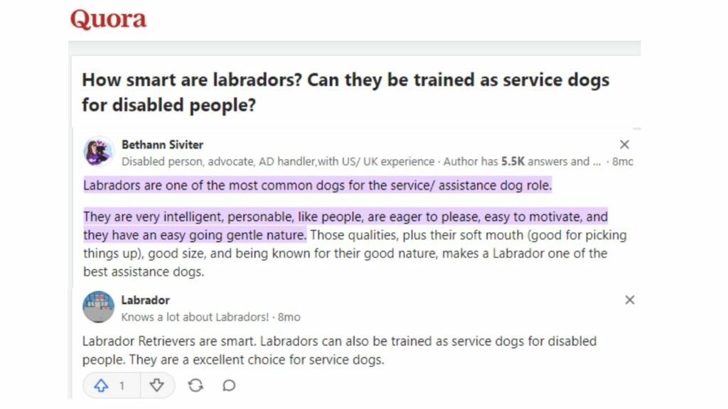 smartest dogs rankings
