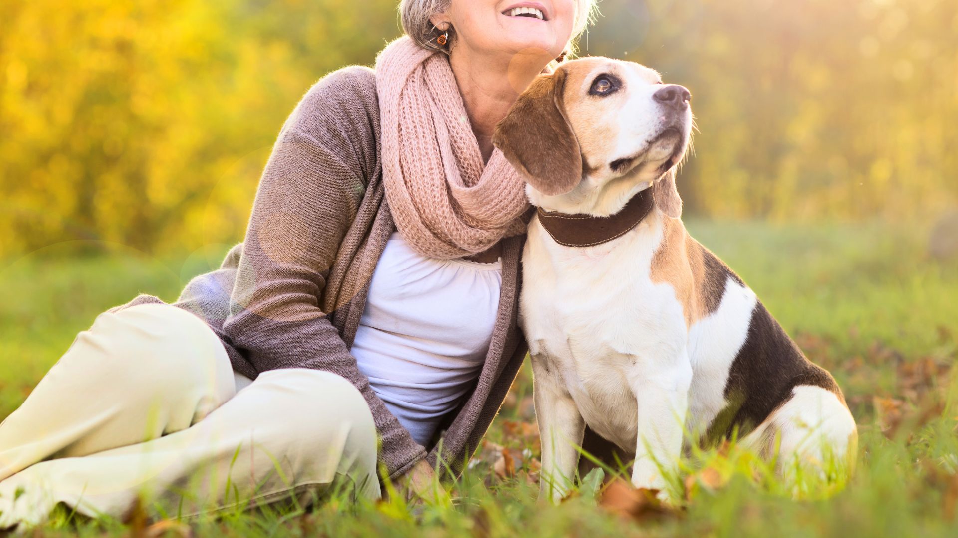 7 Best Guard Dogs For Older Women That Offer Safety & Companionship