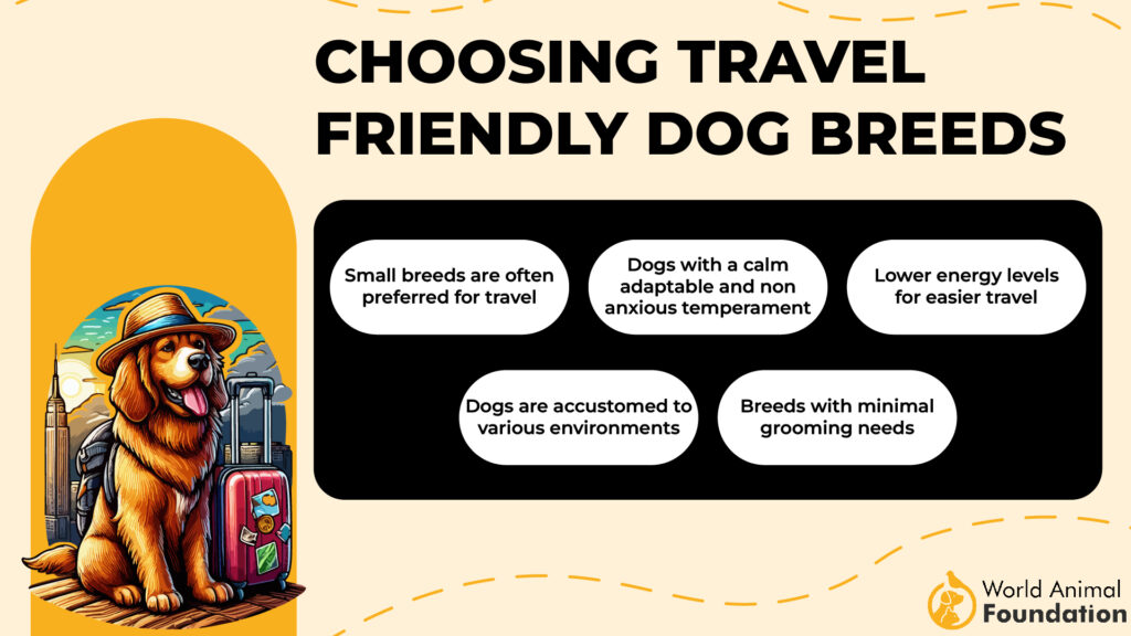 Choosing Travel-Friendly Dog Breeds