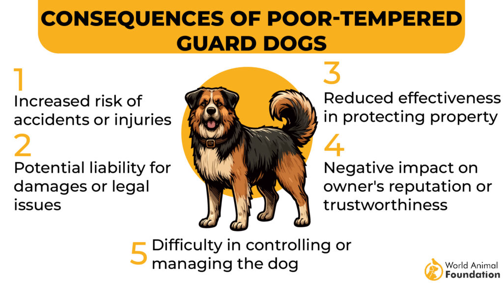 Consequences of Poor-Tempered Guard Dogs
